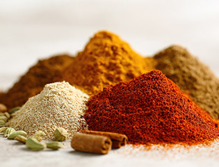spice-1