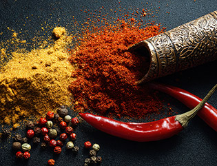 spice-2
